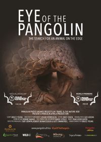 Eye Of The Pangolin