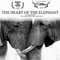 The Heart Of The Elephant